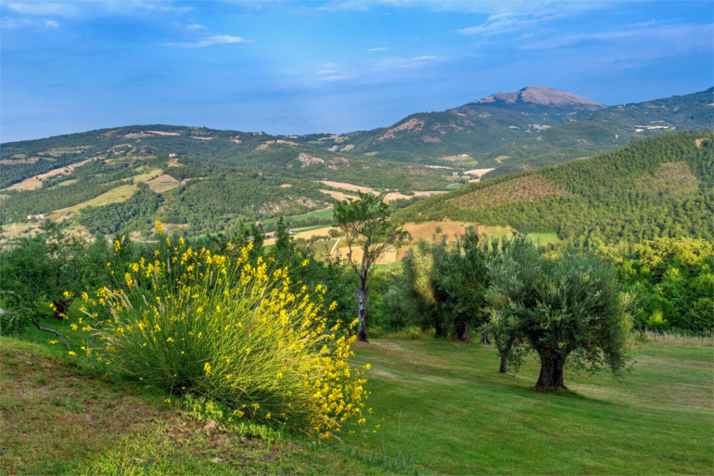 View-Villa-Valtiberina-Allure-Of-Tuscany
